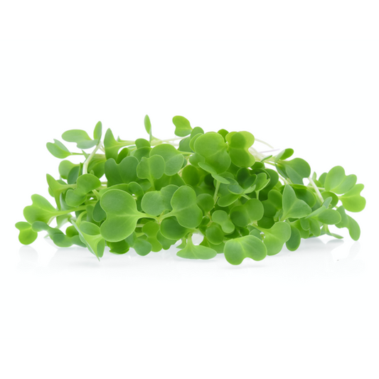 Cabbage Microgreen Seeds