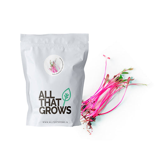 Bull’s Blood Beet Microgreen Seeds