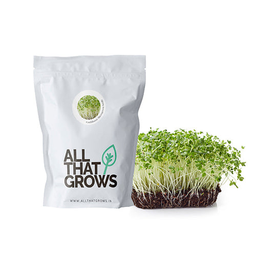 Cauliflower Microgreen Seeds