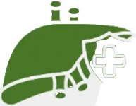 Supports Healthy Liver